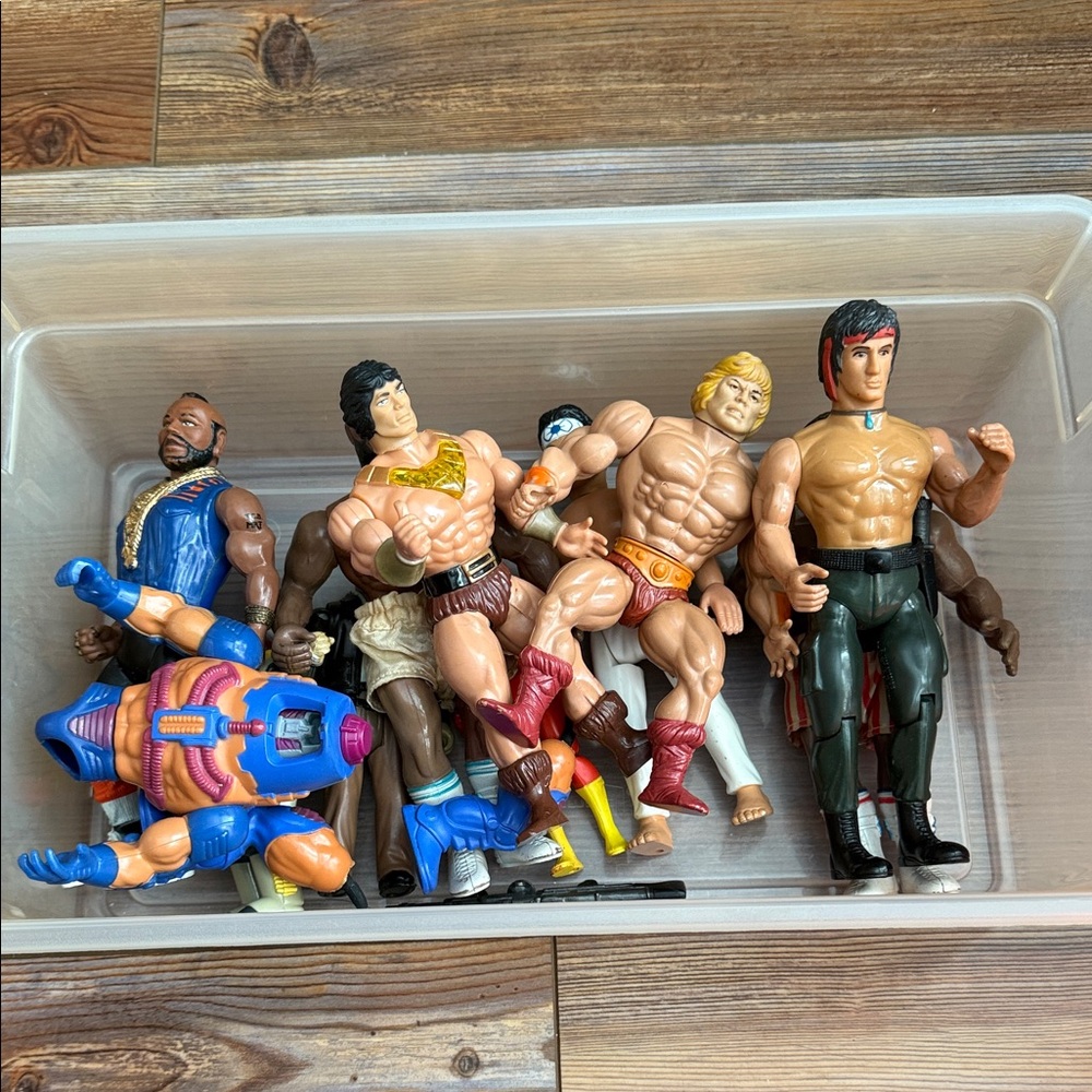 Action Figure Collection with Accessories